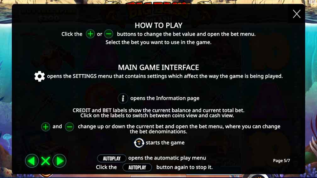 Printscreen of How To Play Big Bass Splash slot